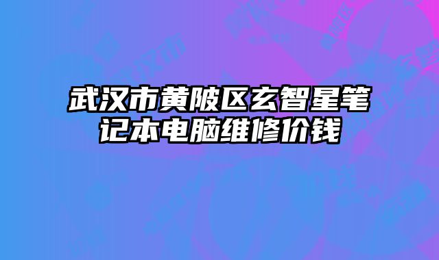 武汉市黄陂区玄智星笔记本电脑维修价钱