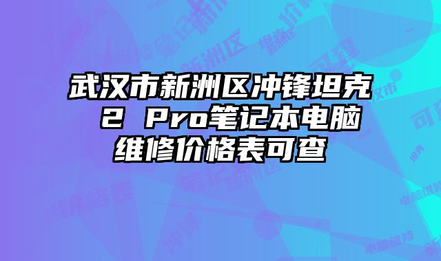 武汉市新洲区冲锋坦克 2 Pro笔记本电脑维修价格表可查