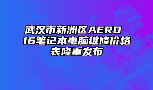 武汉市新洲区AERO 16笔记本电脑维修价格表隆重发布