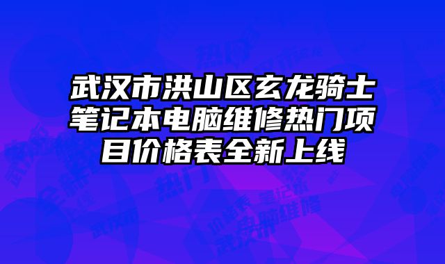 武汉市洪山区玄龙骑士笔记本电脑维修热门项目价格表全新上线