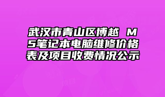 武汉市青山区博越 M5笔记本电脑维修价格表及项目收费情况公示