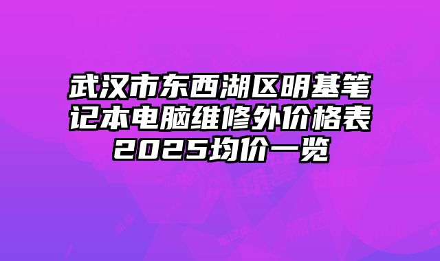 武汉市东西湖区明基笔记本电脑维修外价格表2025均价一览