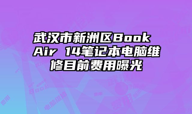 武汉市新洲区Book Air 14笔记本电脑维修目前费用曝光