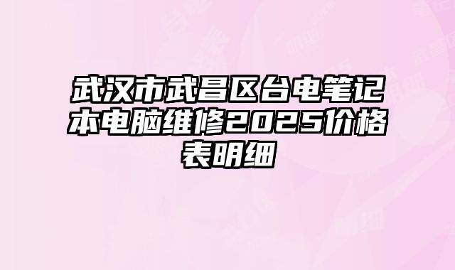 武汉市武昌区台电笔记本电脑维修2025价格表明细