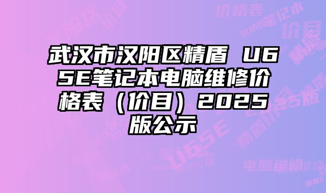 武汉市汉阳区精盾 U65E笔记本电脑维修价格表（价目）2025版公示