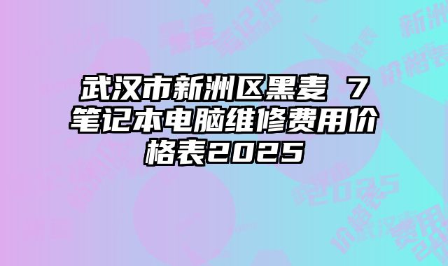 武汉市新洲区黑麦 7笔记本电脑维修费用价格表2025