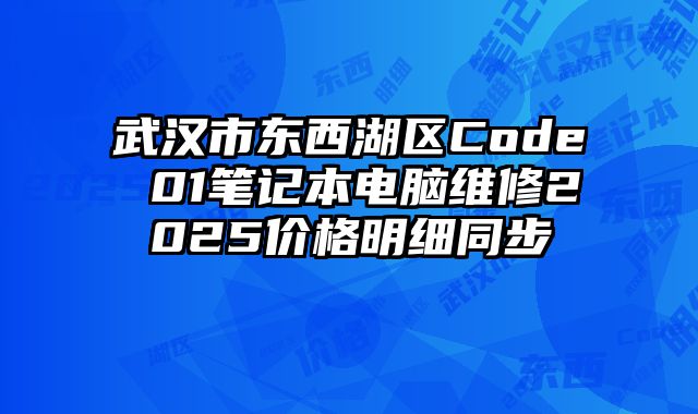 武汉市东西湖区Code 01笔记本电脑维修2025价格明细同步