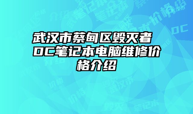 武汉市蔡甸区毁灭者 DC笔记本电脑维修价格介绍