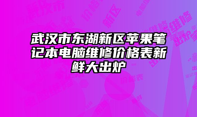 武汉市东湖新区苹果笔记本电脑维修价格表新鲜大出炉