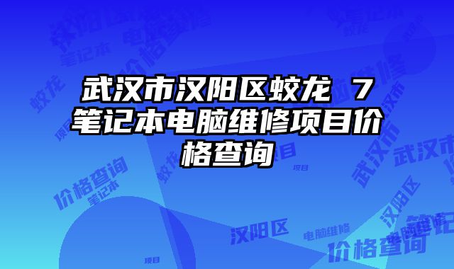 武汉市汉阳区蛟龙 7笔记本电脑维修项目价格查询