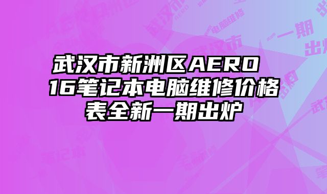 武汉市新洲区AERO 16笔记本电脑维修价格表全新一期出炉