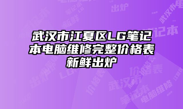 武汉市江夏区LG笔记本电脑维修完整价格表新鲜出炉