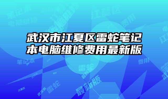 武汉市江夏区雷蛇笔记本电脑维修费用最新版