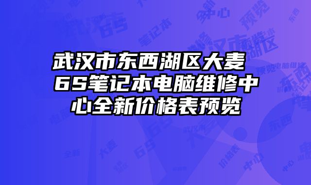 武汉市东西湖区大麦 6S笔记本电脑维修中心全新价格表预览