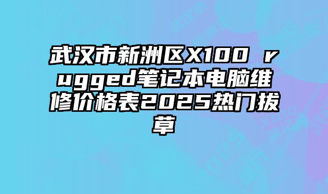 武汉市新洲区X100 rugged笔记本电脑维修价格表2025热门拔草