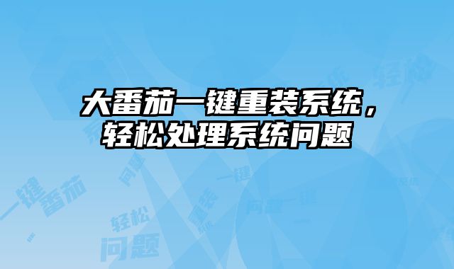 大番茄一键重装系统，轻松处理系统问题