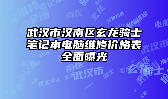 武汉市汉南区玄龙骑士笔记本电脑维修价格表全面曝光