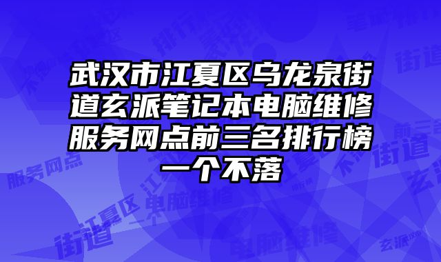 武汉市江夏区乌龙泉街道玄派笔记本电脑维修服务网点前三名排行榜一个不落