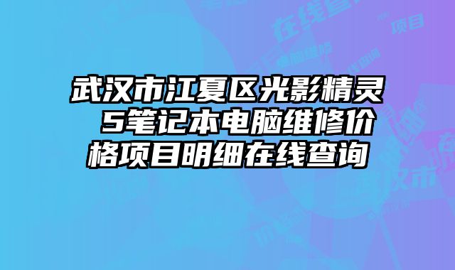 武汉市江夏区光影精灵 5笔记本电脑维修价格项目明细在线查询