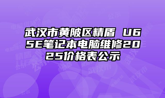 武汉市黄陂区精盾 U65E笔记本电脑维修2025价格表公示