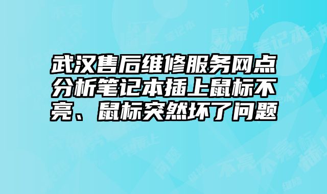 武汉售后维修服务网点分析笔记本插上鼠标不亮、鼠标突然坏了问题