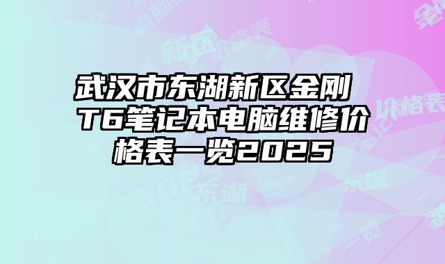 武汉市东湖新区金刚 T6笔记本电脑维修价格表一览2025