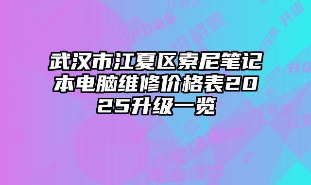 武汉市江夏区索尼笔记本电脑维修价格表2025升级一览