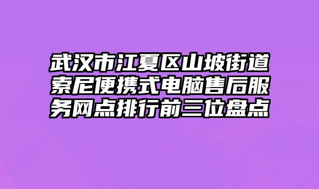 武汉市江夏区山坡街道索尼便携式电脑售后服务网点排行前三位盘点