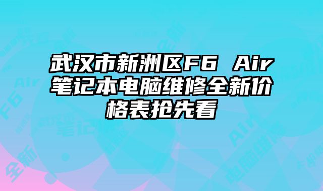 武汉市新洲区F6 Air笔记本电脑维修全新价格表抢先看