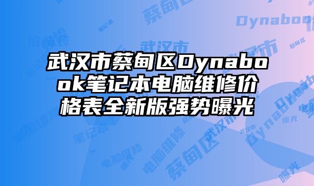 武汉市蔡甸区Dynabook笔记本电脑维修价格表全新版强势曝光