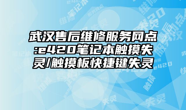 武汉售后维修服务网点:e420笔记本触摸失灵/触摸板快捷键失灵