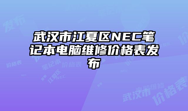 武汉市江夏区NEC笔记本电脑维修价格表发布