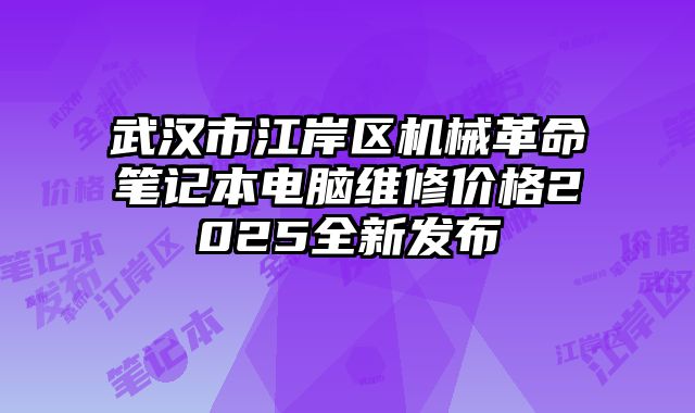 武汉市江岸区机械革命笔记本电脑维修价格2025全新发布