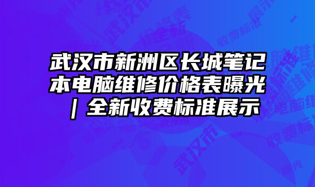 武汉市新洲区长城笔记本电脑维修价格表曝光｜全新收费标准展示