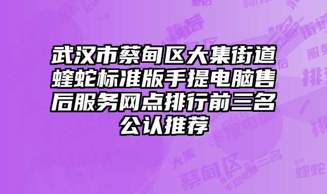 武汉市蔡甸区大集街道蝰蛇标准版手提电脑售后服务网点排行前三名公认推荐