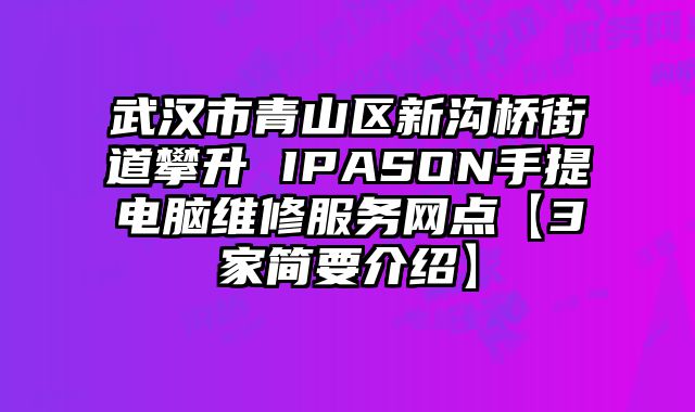 武汉市青山区新沟桥街道攀升 IPASON手提电脑维修服务网点【3家简要介绍】