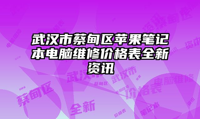 武汉市蔡甸区苹果笔记本电脑维修价格表全新资讯