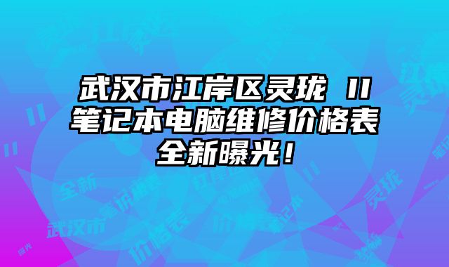 武汉市江岸区灵珑 II笔记本电脑维修价格表全新曝光！