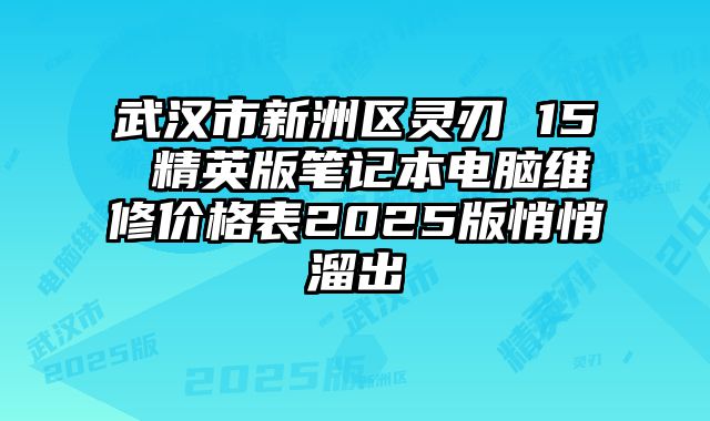 武汉市新洲区灵刃 15 精英版笔记本电脑维修价格表2025版悄悄溜出