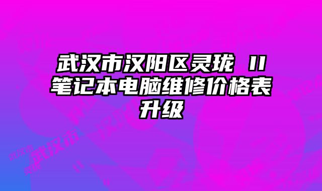 武汉市汉阳区灵珑 II笔记本电脑维修价格表升级