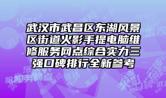 武汉市武昌区东湖风景区街道火影手提电脑维修服务网点综合实力三强口碑排行全新参考