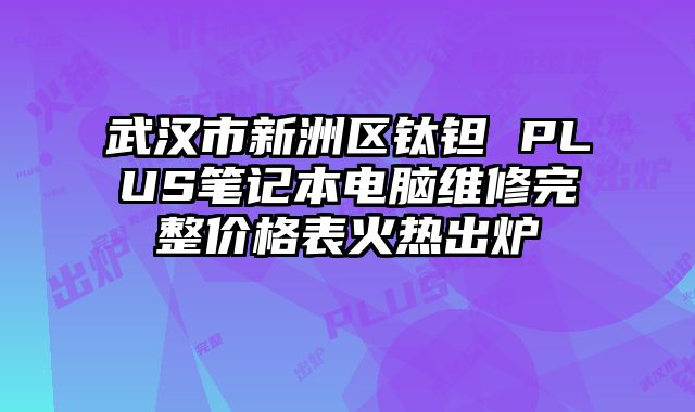 武汉市新洲区钛钽 PLUS笔记本电脑维修完整价格表火热出炉