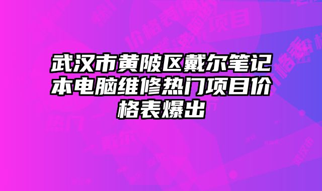 武汉市黄陂区戴尔笔记本电脑维修热门项目价格表爆出