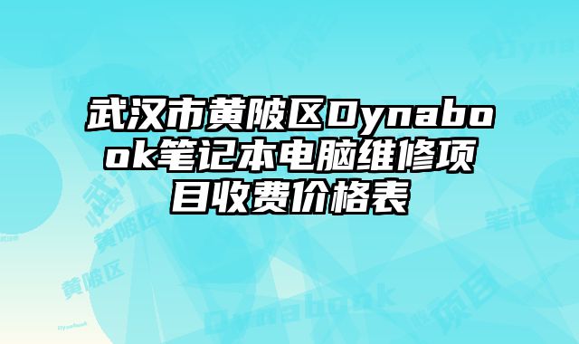 武汉市黄陂区Dynabook笔记本电脑维修项目收费价格表