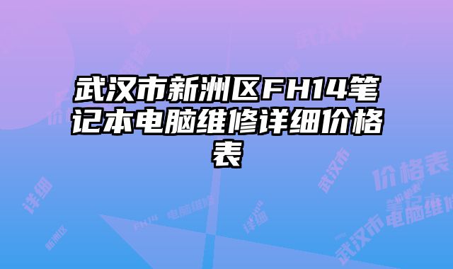 武汉市新洲区FH14笔记本电脑维修详细价格表