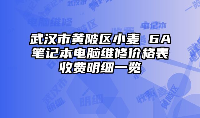 武汉市黄陂区小麦 6A笔记本电脑维修价格表收费明细一览