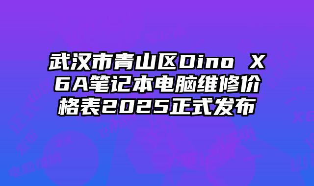 武汉市青山区Dino X6A笔记本电脑维修价格表2025正式发布