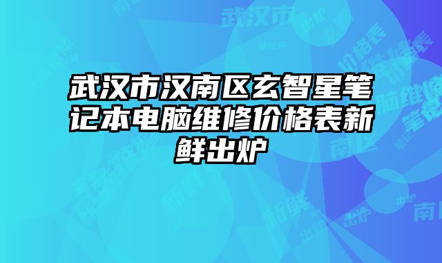 武汉市汉南区玄智星笔记本电脑维修价格表新鲜出炉