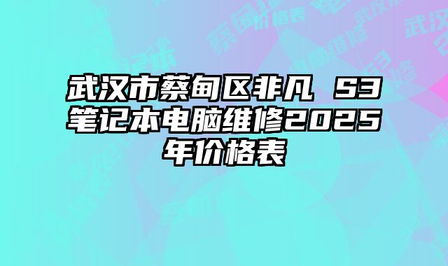 武汉市蔡甸区非凡 S3笔记本电脑维修2025年价格表