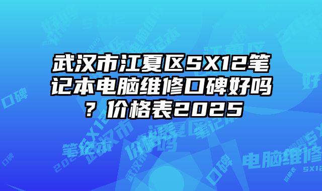 武汉市江夏区SX12笔记本电脑维修口碑好吗？价格表2025